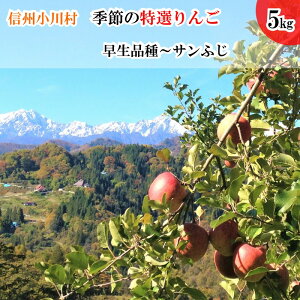 【ふるさと納税】311*信州小川村成就地区限定季節の特選りんご5キロ(早生品種りんご〜サンふじりんご)