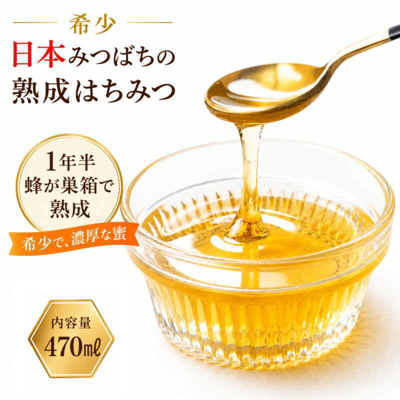【ふるさと納税】420＊国産日本ミツバチ熟成はちみつ　百花蜂蜜470g
