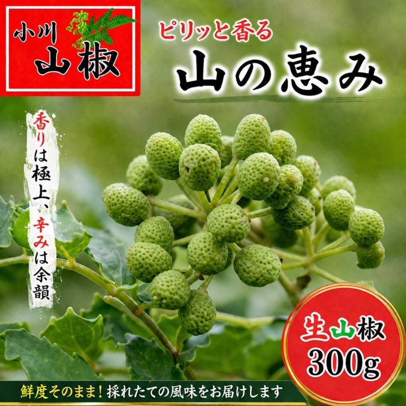 266*信州小川村 生山椒の実300g(先行予約27年6月頃発送予定)