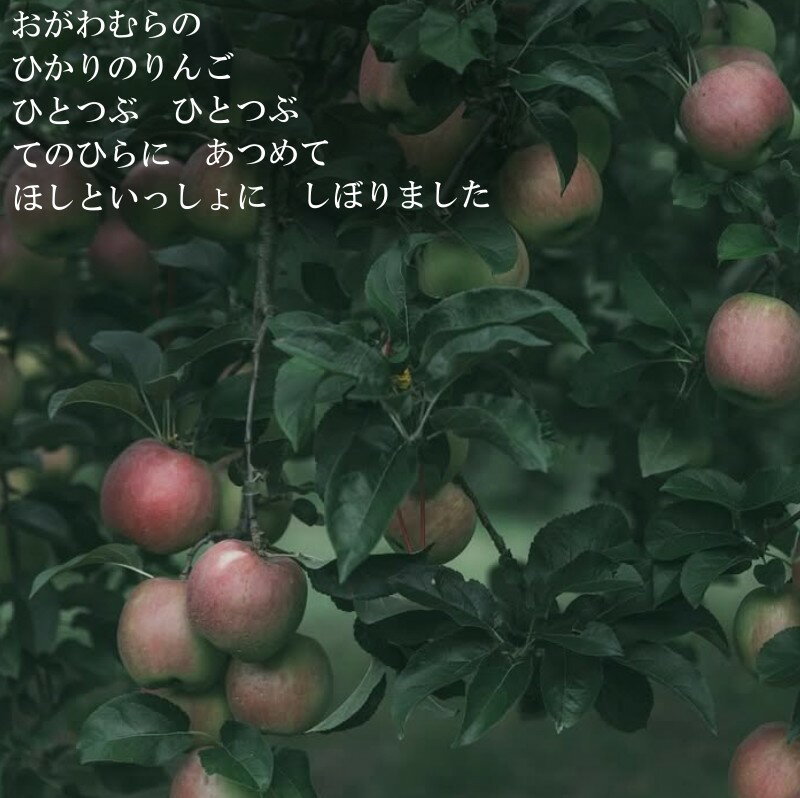 長野県小川村の画像2