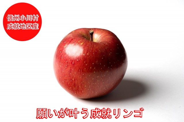 長野県小川村 | ふるさと納税の返礼品一覧(17サイト横断・人気順) | ふるさと納税ガイド 長野県小川村 | ふるさと納税の返礼品一覧(17サイト横断・人気順) | ふるさと納税ガイド
