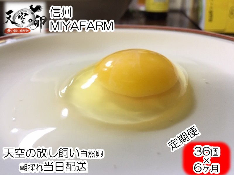 【ふるさと納税】382＊信州MIYAFARM　「天空の卵」有機野菜を食べて育った放し飼い自然卵　6ヶ月定期便