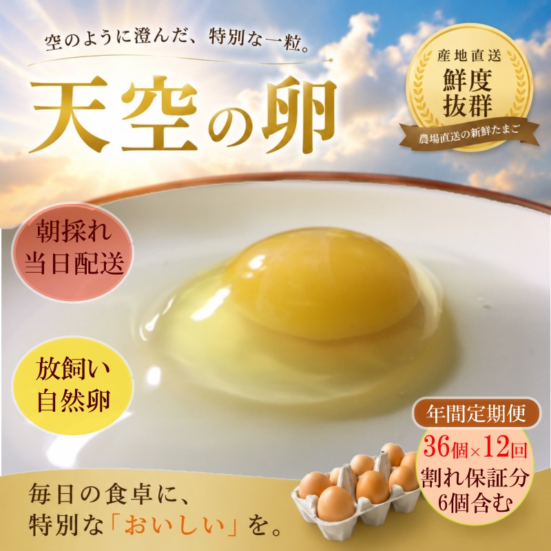 Rakuten - 【ふるさと納税】383＊信州MIYAFARM　「天空の卵」新鮮野菜を食べて育った放し飼い自然卵　12ヶ月定期便