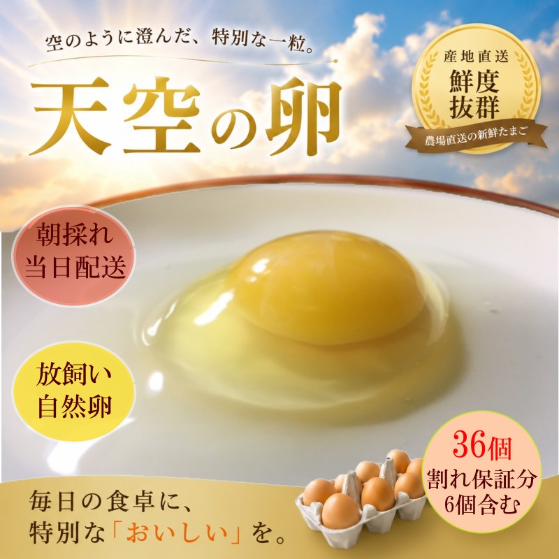 381*信州MIYAFARM 「天空の卵」新鮮野菜を食べて育った放し飼い自然卵 30個(割れ保証分6個付き 合計36個)