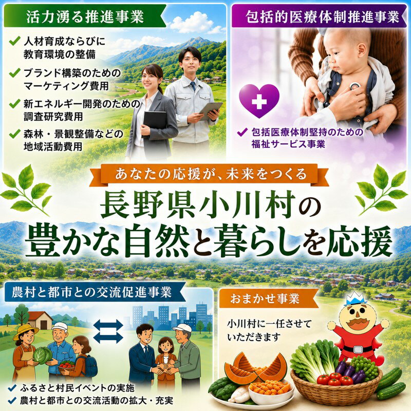 【ふるさと納税】003＊小川村ふるさと納税応援寄附金　返礼品なし