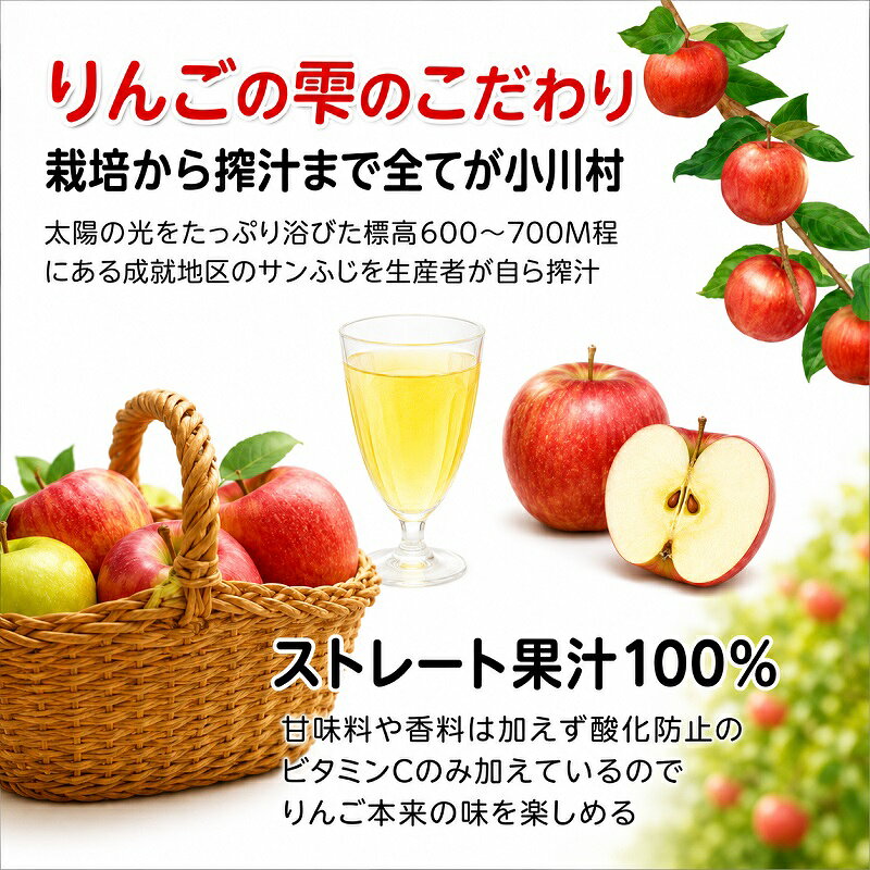 【ふるさと納税】201＊サンふじりんご100%ジュース1L2本