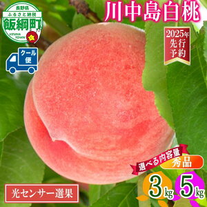 【ふるさと納税】《光センサー選別品》 桃 もも 3kg 5kg 川中島白桃 長野県産 白桃 秀品 品質保証 糖度保証 令和7年 先行予約 〔 R7 ギフト 果物 くだもの フルーツ 信州 26000円 17000円 〕長野 飯綱町 発送期間:2025年8月下旬~2025年9月中旬 沖縄県への配送不可
