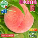 【ふるさと納税】 グルメ 桃 5kg ( 川中島白桃 ) 糖度13度以上 光センサー選別品 沖縄県への配送不可 日時指定および不在指定不可 長野県 飯綱町 〔 桃 もも モモ フルーツ 信州 先行 予約 お中元 ギフト 41000円 〕発送期間:2025年8月下旬~2025年9月上旬