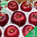 【ふるさと納税】 りんご 紅玉 秀 〜 特秀 3kg サイズおまかせ 井澤農園 沖縄県への配送不可 令和7年度収穫分 エコファーマー認定 長野県 飯綱町 〔 信州 果物 フルーツ リンゴ 林檎 長野 15000円 予約 農家直送 〕発送時期:2025年10月上旬〜2025年11月中旬 {***}(4)