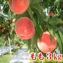【ふるさと納税】【先行予約】 長野県 飯綱町 飯綱町産 の ...