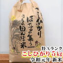 【ふるさと納税】 信州 飯綱町 コシヒカリ 令和元年産 特A...