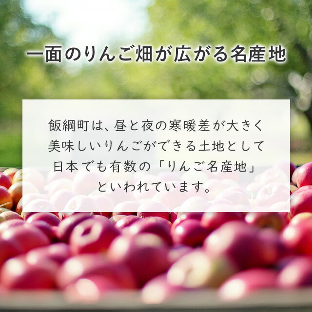 【ふるさと納税】 信州産 りんごの特産加工品 9点 セット ※沖縄および離島への配送不可 長野県 飯綱町 ふるさと振興公社 【りんご 林檎 リンゴ ジュース ジャム ドレッシング ソース 特産 加工品 】