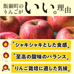 【ふるさと納税】 りんご シナノトドルチェ 家庭用 5kg ファームたんぽぽ 沖縄県への配送不可 令和5年度収穫分 除草剤不使用 長野県 飯綱町 〔 信州 果物 フルーツ リンゴ 林檎 長野 9000円 予約 農家直送 〕発送時期：2023年9月下旬〜2023年10月上旬 {**}･･･ 画像2