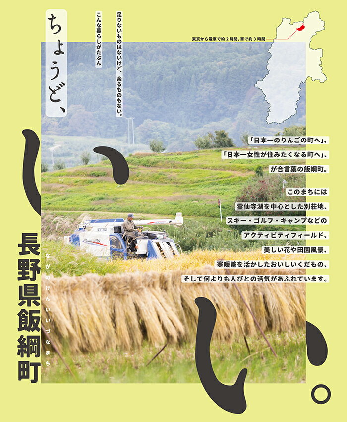 【ふるさと納税】 米 こしひかり ( 玄米 ) 10kg × 12回 【 12か月 定期便 】( 令和5年産 ) 沖縄県への配送不可 米澤商店 長野県 飯綱町 【 コシヒカリ 玄米 お米 信州 】発送時期：2023年11月上旬～ [お届け12回 (***)]