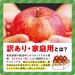 【ふるさと納税】 りんご シナノリップ 家庭用 3kg 大友農場 エコファーマー認定 沖縄県への配送不可 令和5年度収穫分 長野県 飯綱町 【 信州 果物 フルーツ リンゴ 林檎 長野 予約 農家直送 】発送時期：2023年8月中旬～2023年8月下旬 {**}･･･ 画像2