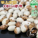 【ふるさと納税】 信州産 虎豆 1000g 1kg 上倉荘 沖縄県への配送不可 長野県 飯綱町 〔 信州 お豆 まめ マメ 野菜 10000円 〕発送時期:2025年10月中旬~2026年2月上旬