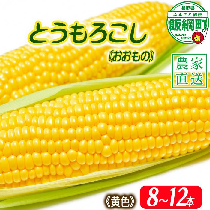 【ふるさと納税】とうもろこし 8本〜12本 信州産 朝採り 上倉荘 配送先は本州限定 長野県 飯綱町 〔 信州 トウモロコシ コーン おおもの 野菜 12000円 〕発送時期：2025年8月上旬〜2025年9月中旬のサムネイル