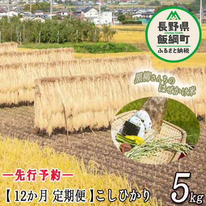 こしひかり 5kg × 12回 【 12カ月 定期便 】 ※沖縄および離島への配送不可 黒柳さんのはぜかけ米 長野県 飯綱町 【 米 お米 精米 白米 信州 長野 はぜかけ米 】【令和6年度収穫分】発送：2024年11月上旬～ [お届け12回 (**)]