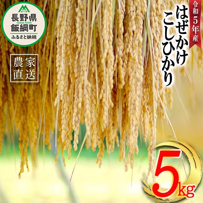 米 こしひかり 5kg ( 令和5年産 ) 黒柳さんのお米 はぜかけ 沖縄県への配送不可 長野県 飯綱町 〔 コシヒカリ 白米 精米 お米 信州 13000円 予約 農家直送 〕発送時期:2023年11月上旬〜 [お届け1回 (**)]