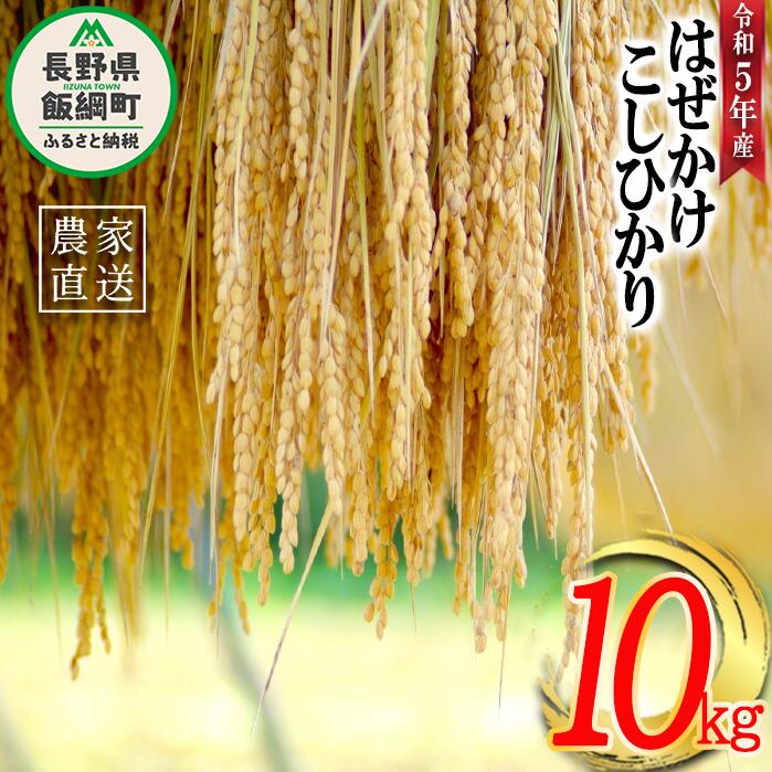 米 こしひかり 10kg ( 令和5年産 ) 黒柳さんのお米 はぜかけ 沖縄県への配送不可 長野県 飯綱町 〔 コシヒカリ 白米 精米 お米 信州 25000円 予約 農家直送 〕発送時期:2023年11月上旬〜 [お届け1回 (***)]