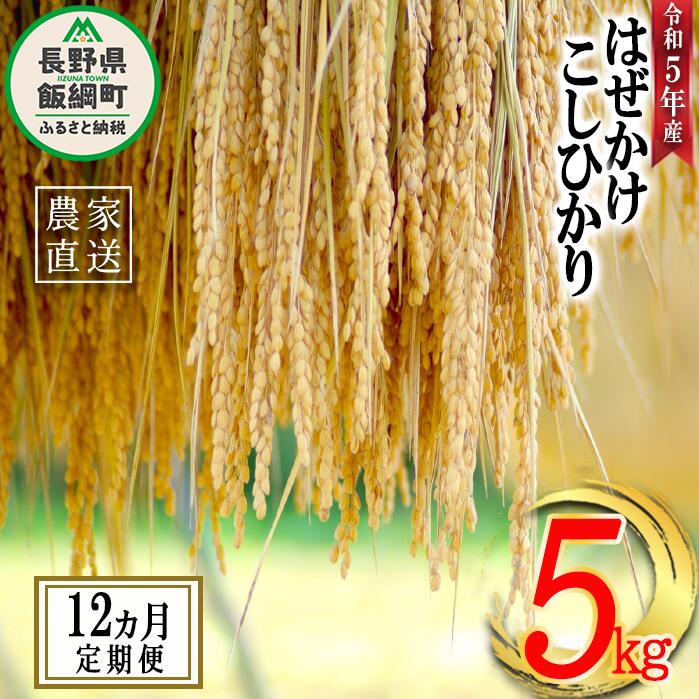 【ふるさと納税】 米 こしひかり 5kg × 12回 【 12か月 定期便 】( 令和5年産 ) 黒柳さんのお米 はぜかけ 沖縄県への配送不可 長野県 飯綱町 〔 コシヒカリ 白米 精米 お米 信州 156000円 予約 農家直送 〕発送時期：2023年11月上旬～ お届け12回 ( )