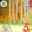 19位! 口コミ数「0件」評価「0」 米 こしひかり 5kg × 12回 【 12か月 定期便 】( 令和5年産 ) 黒柳さんのお米 はぜかけ 沖縄県への配送不可 長野県 飯綱･･･ 