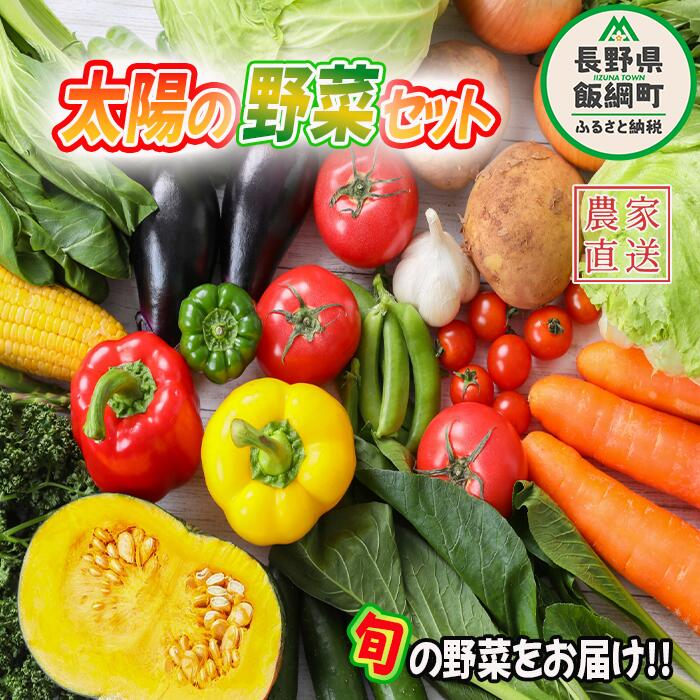 【ふるさと納税】 太陽の野菜セット 沖縄県への配送不可 【 