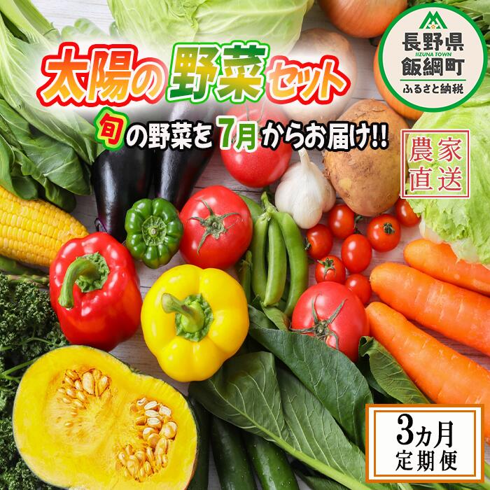 【ふるさと納税】 太陽の野菜セット 【 7月から 3か月 定期便 】 沖縄県への配送不可 ( 化学肥料 除草剤 不使用 ) 【 旬の野菜 80サイズ段ボール1箱分 】〔 野菜 3ヶ月 詰め合わせ セット 信州 長野 飯綱町 〕 発送時期：2024年7月中旬～2024年9月中旬