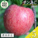 【ふるさと納税】 りんご サンふじ 家庭用 5kg 寺島農園 沖縄県への配送不可 令和7年度収穫分 長野県 飯綱町 【 信州 果物 フルーツ リンゴ 林檎 長野 予約 農家直送 14000円 】発送時期:2025年11月下旬〜2026年2月上旬 {**}(4)