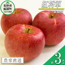 【ふるさと納税】 りんご 紅将軍 家庭用 3kg 永野農園 
