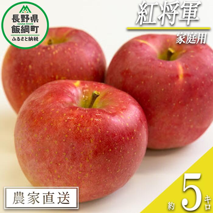【ふるさと納税】 りんご 紅将軍 家庭用 5kg 永野農園 沖縄県への配送不可 令和7年度収穫分 長野県 飯綱町 〔 信州 果物 フルーツ リンゴ 林檎 長野 予約 農家直送 16000円 〕発送時期:2025年9月下旬〜2025年10月上旬