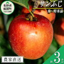 19位! 口コミ数「13件」評価「4.69」 りんご サンふじ 秀 ～ 特秀 3kg 永野農園 沖縄県への配送不可 令和6年度収穫分 長野県 飯綱町 〔 信州 果物 フルーツ リンゴ ･･･ 