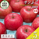 34位! 口コミ数「7件」評価「3.57」 りんご サンふじ 家庭用 ( 小玉 ) 5kg 永野農園 沖縄県への配送不可 令和6年度収穫分 長野県 飯綱町 〔 信州 果物 フルーツ ･･･ 