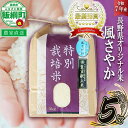 【ふるさと納税】 米 風さやか 5kg ( 令和7年産 ) 特別栽培米 仲俣農園 長野県 飯綱町 〔 オリジナル米 風 さやか 白米 精米 お米 お弁当 おにぎ...