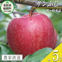 【ふるさと納税】りんご サンふじ 秀～特秀 5kg ヒライ農