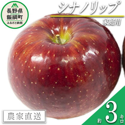 りんご シナノリップ 家庭用 3kg 松橋りんご園 沖縄県への配送不可 令和6年度収穫分 長野県 飯綱町 〔 信州 果物 フルーツ リンゴ 林檎 長野 10000円 予約 農家直送 〕発送時期：2024年8月中旬～2024年8月下旬 {**}