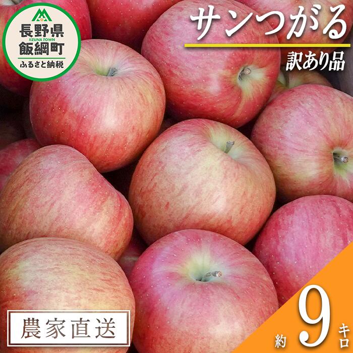 【ふるさと納税】 りんご サンつがる 訳あり 9kg 松橋り