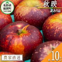 【ふるさと納税】 りんご 秋映 訳あり 10kg 松橋りんご園 令和7年度収穫分 長野県 飯綱町 〔 傷 不揃い わけあり リンゴ 林檎 果物 フルーツ 信州 ...