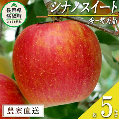 りんご シナノスイート 秀 ～ 特秀 5kg 松橋りんご園 沖縄県への配送不可 令和6年度収穫分 長野県 飯綱町 〔 信州 果物 フルーツ リンゴ 林檎 長野 16000円 予約 農家直送 〕発送時期：2024年10月上旬～2024年11月上旬 {***}