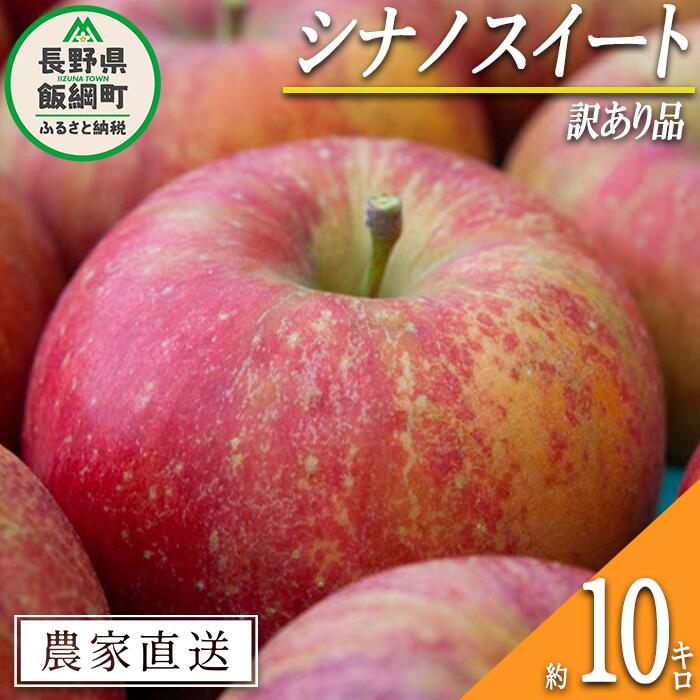 りんご シナノスイート 訳あり 10kg 松橋りんご園 沖縄県への配送不可 令和6年度収穫分 長野県 飯綱町 〔 傷 不揃い わけあり 信州 果物 フルーツ リンゴ 林檎 長野 18000円 予約 農家直送 〕発送時期:2024年10月上旬〜2024年11月上旬 {*}