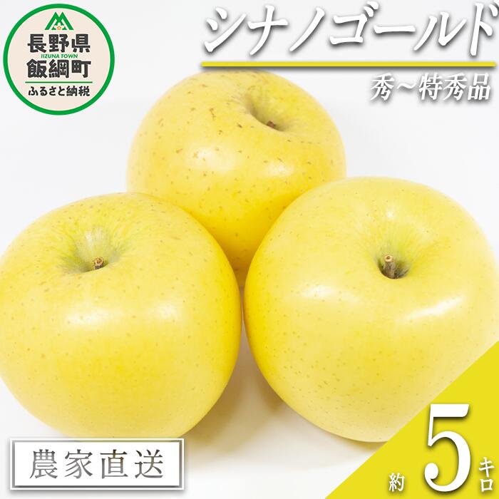 【ふるさと納税】 りんご シナノゴールド 秀 ～ 特秀 5k
