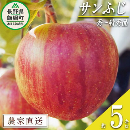 りんご サンふじ 秀 ～ 特秀 5kg 松橋りんご園 沖縄県への配送不可 令和6年度収穫分 長野県 飯綱町 〔 信州 果物 フルーツ リンゴ 林檎 長野 16000円 予約 農家直送 〕発送時期：2024年11月下旬～2025年1月下旬 {***}