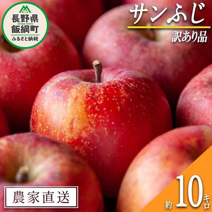 【ふるさと納税】 りんご サンふじ 訳あり 10kg 松橋りんご園 沖縄県への配送不可 令和6年度収穫分 長...