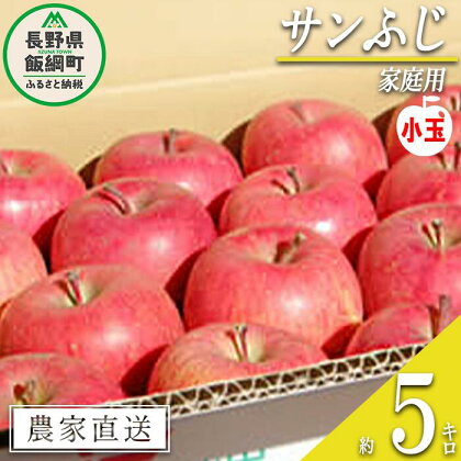 りんご サンふじ 家庭用 ( 小玉 ) 5kg 松橋りんご園 沖縄県への配送不可 令和6年度収穫分 長野県 飯綱町 【 信州 果物 フルーツ リンゴ 林檎 11000円 長野 】発送時期：2025年1月上旬～2025年3月上旬 {**}