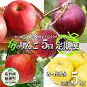 1位! 口コミ数「3件」評価「4.67」 旬のりんご 【 定期便 】 秀 ～ 特秀 4.5kg ～ 5kg × 5回 松橋りんご園 沖縄県への配送不可 令和6年度収穫分 長野県 飯･･･ 