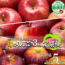 【ふるさと納税】 旬のりんご 【 定期便 】 訳あり 4.5kg 〜 5kg × 3回 松橋りんご園 沖縄県への配送不可 令和7年度収穫分 長野県 飯綱町 【 ...