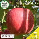  りんご サンふじ 家庭用 5kg 丸山りんご園 沖縄県への配送不可 令和6年度収穫分 長野県 飯綱町 〔 信州 果物 フルーツ リンゴ 林檎 長野 12000円 予約 農家直送 〕発送時期：2024年12月上旬～2024年12月下旬 {**}