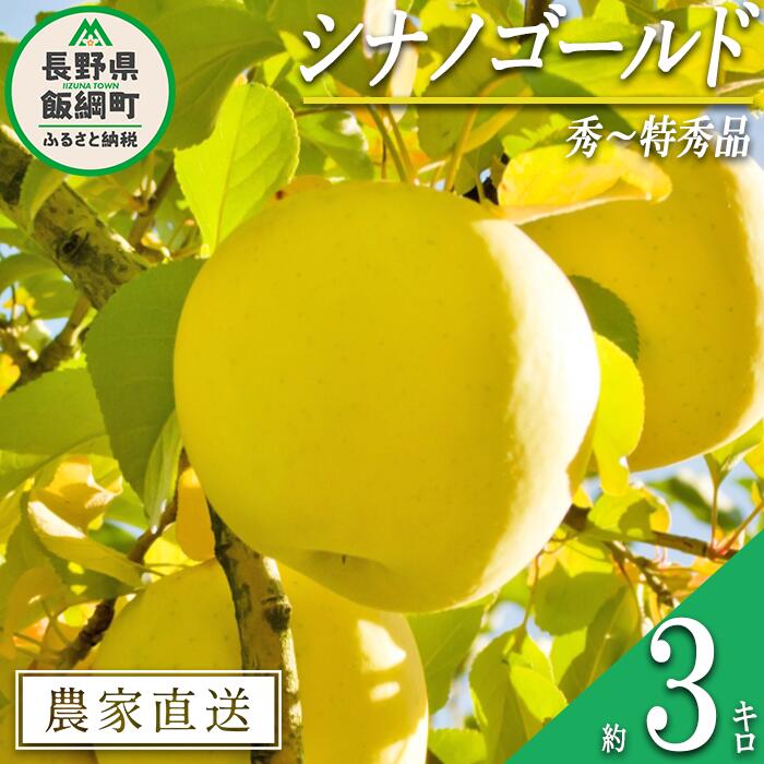 りんご シナノゴールド 秀 〜 特秀 3kg 丸山りんご園 沖縄県への配送不可 令和6年度収穫分 長野県 飯綱町 〔 信州 果物 フルーツ リンゴ 林檎 長野 11000円 予約 農家直送 〕発送時期:2024年11月上旬〜2024年12月中旬 {***}