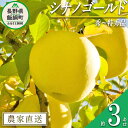  りんご シナノゴールド 秀 ～ 特秀 3kg 丸山りんご園 沖縄県への配送不可 令和6年度収穫分 長野県 飯綱町 〔 信州 果物 フルーツ リンゴ 林檎 長野 11000円 予約 農家直送 〕発送時期：2024年11月上旬～2024年12月中旬 {***}