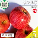 【ふるさと納税】 りんご サンふじ 家庭用 ( 小玉 ) 5kg 丸山りんご園 沖縄県への配送不可 令和7年度収穫分 長野県 飯綱町 〔 信州 果物 フルーツ リンゴ 林檎 長野 11000円 予約 農家直送 〕発送時期:2025年12月中旬〜2026年1月上旬 {**}(4)